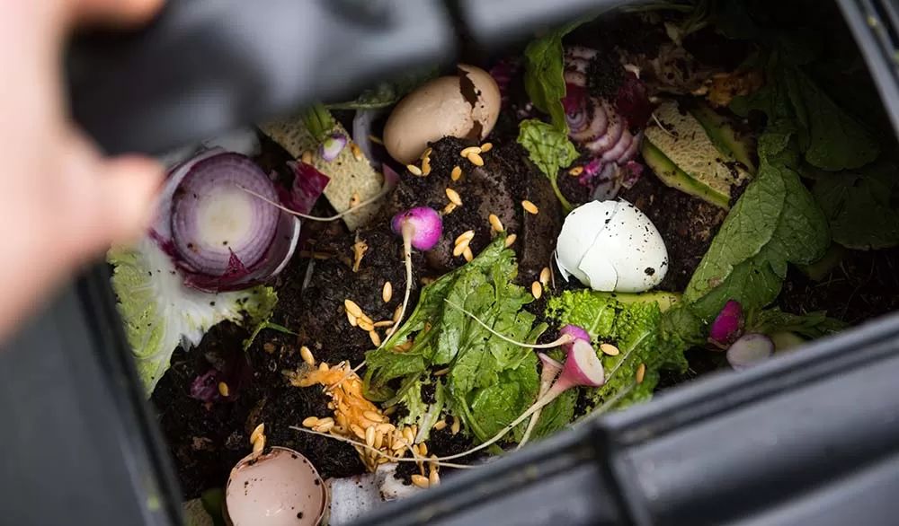 Balancing Materials in Leaf Compost