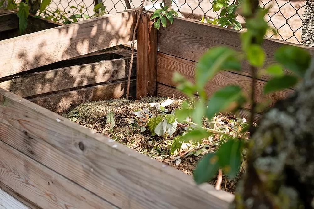 Compost Pile with Shredded Leaves