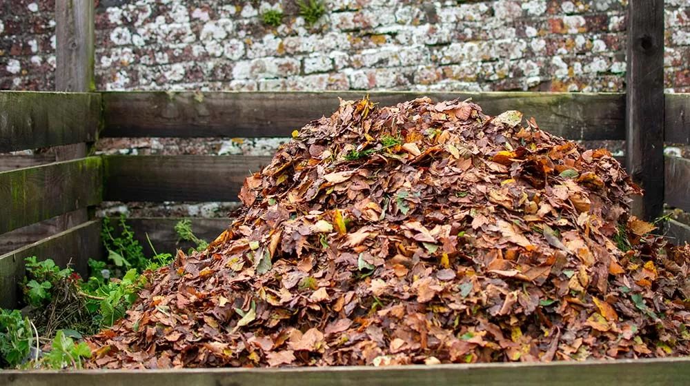 How to Compost Leaves