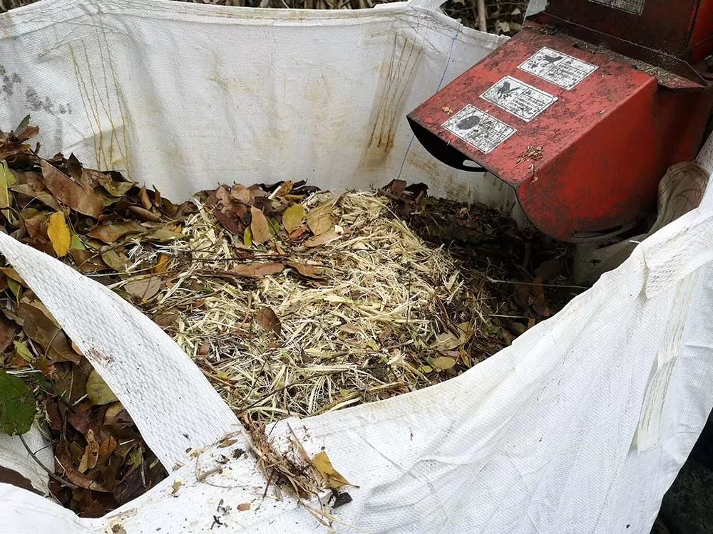 Shredding Fallen Tree Leaves