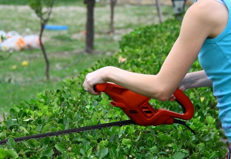 Tree pruning tools for gardening