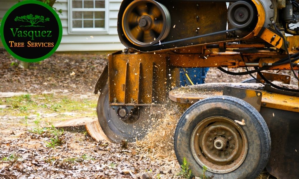 stump grinding to avoid accidents