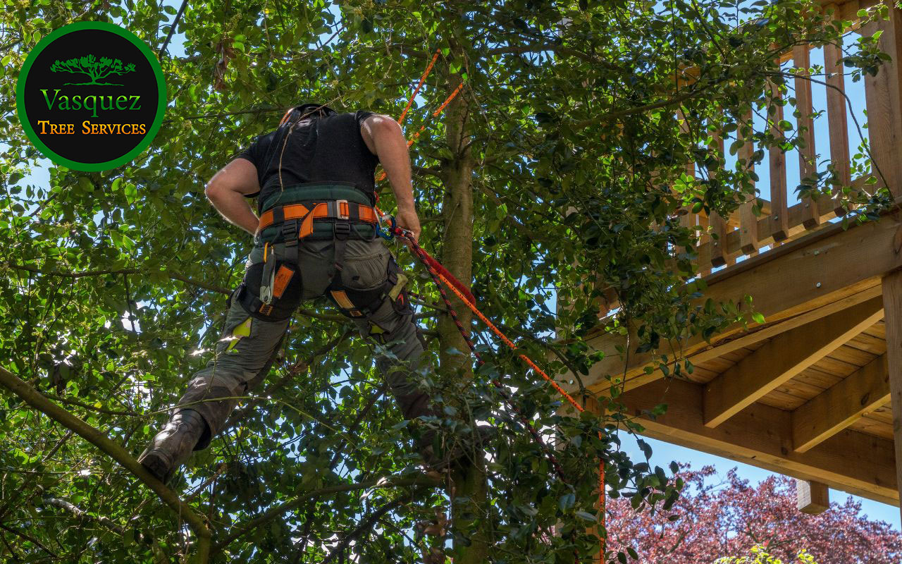 Emergency Tree Trimming for Safety