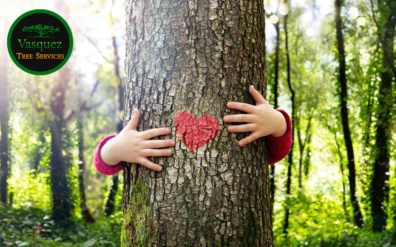 Broken branches showing signs your tree needs immediate care for safety and health.